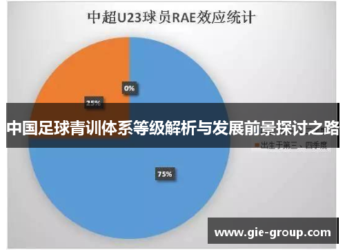 中国足球青训体系等级解析与发展前景探讨之路